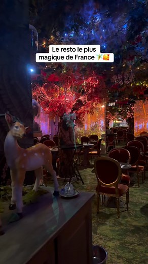 🤩🧚 | Ephemeragroup