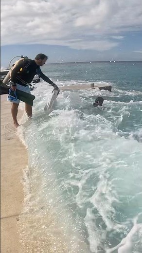 Shore Diving!! 🌊 #grandcayman #shorediving #sunsetdiverscayman #scuba #hightide
