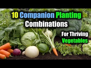 10 Perfect Companion Planting Combinations for Thriving Vegetables