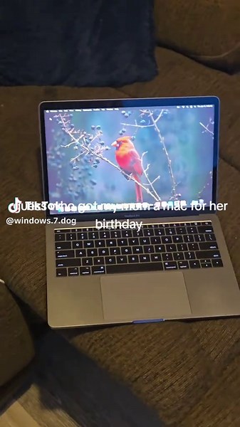 windows7dog🐬🐬🐬 (@windows.7.dog)’s videos with original sound - ClockStanAccount