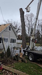 Angel's Tree Service LLC, a reliable company for tree removal, stump removal 🌳 🏡 🌲 call or text for a free estimate (414) 334-9414 | Angel's Tree Service LLC