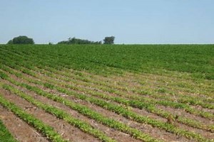 Soybean cyst nematode resistance management