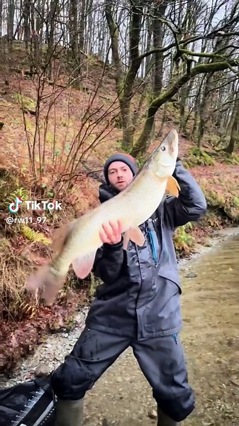 Pike Fishing Tips for Beginners: Catch More in Scotland