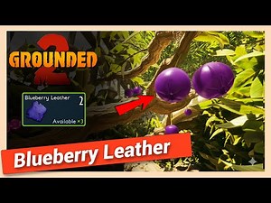 How to get Blueberry Leather in Grounded 2 | Quick Location Guide