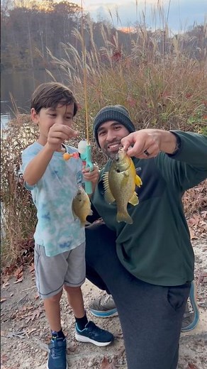 Monster Shellcracker (Redear Sunfish) while blue gill fishing 🎣 #shorts #fishing