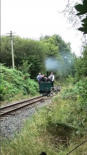 Vertical boiler steam locomotive Chanoler on the slates on the Bala Lake Railway #narrowgauge #steam