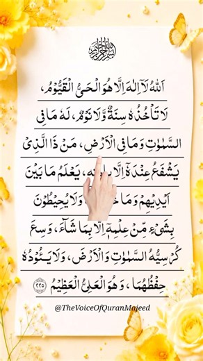 Ayatul Kursi 🤍 | Allahu La Ilaha Illa Huwa | Surah Baqarah 2:255