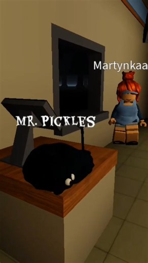 Something Strange Happened in Roblox, A Black Cat with Big Eyes Appeared Out of Nowhere 🐈‍⬛😨