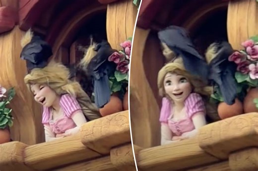 Disney theme park visitors horrified as crows rip out robot Rapunzel’s hair