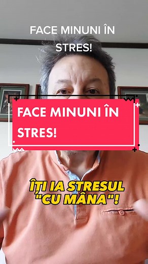 Reducerea Stresului cu Ceai de Roiniță