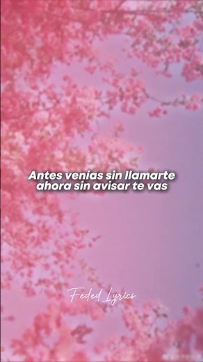 Shakira, Grupo Frontera - (Entre Paréntesis) 💔 (Letra)