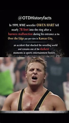 The Tragic Fall of Owen Hart (1999)