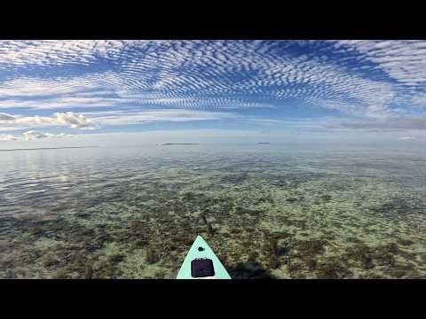 Florida Keys Backcountry after the Arctic Blast.