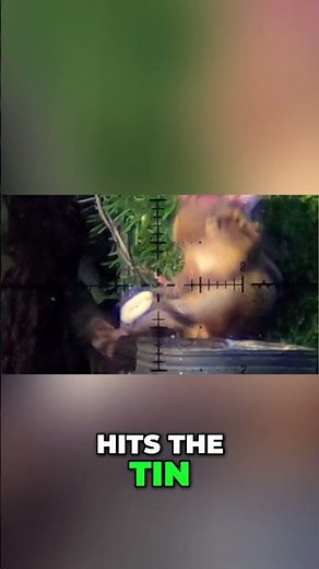 Epic Vision vs Chipmunks (Part 9)