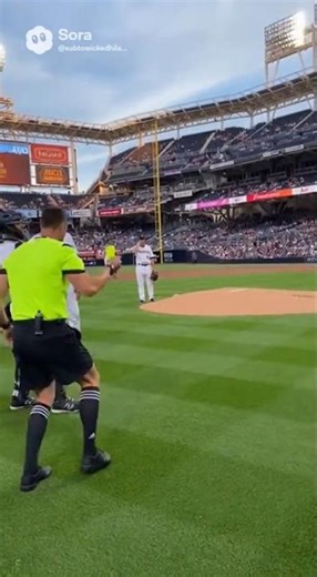 Soccer Ref Runs Into MLB Game and Hands Out a Yellow Card 😂