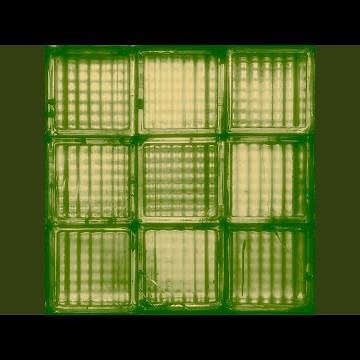 First Light / Last Word (Instrumental)