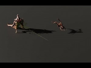 Hydralisk ranged attack animation test
