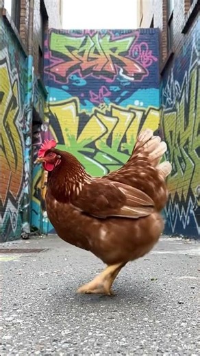 hen dance video #foryou #gamereviews #cats #henna #shortsvideo #shorts