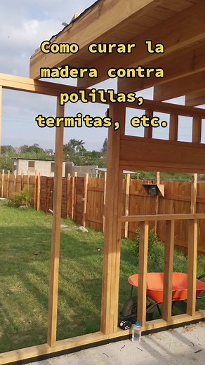 Cómo Curar Madera Contra Polillas y Termitas