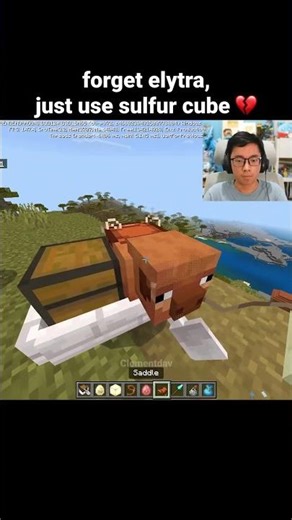 Minecraft Sulfur Cube Update Moment