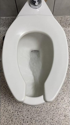 2010s Kohler highcliff ultra toilet