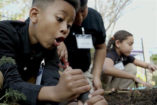How Urban Schools Bring Lessons to Life Through Gardening