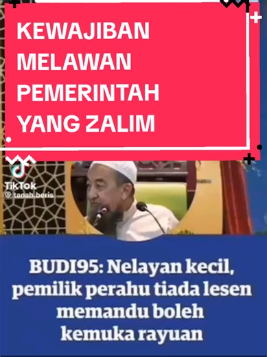 Tuns Follower (@tuns.follower)’s videos with original sound - Tuns Follower