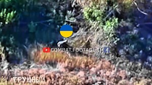 73K views · 2.3K reactions |...