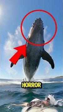 TOP 5 ANIMALS WITH POWERS STRAIGHT OUT OF HORROR MOVIES! #scarystories #naturefacts #zombie