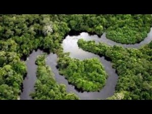 UFAHAMU MSITU WA AMAZON NA MAAJABU YAKE(The amazon forest documentary)