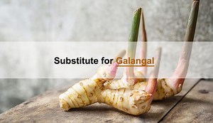 13 Galangal (Root/Paste/Powder) Substitutes for Your Recipe