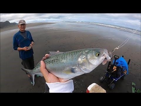 West Coast Surfcasting - NZ Fishing