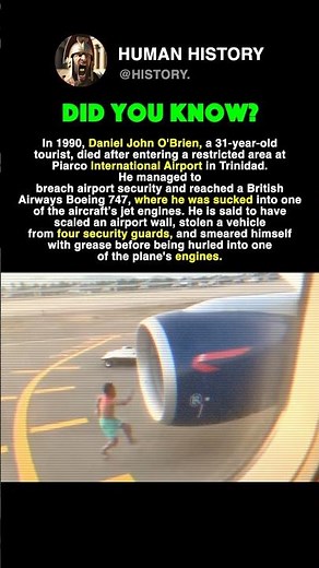 He Was S*CKED Into Jet Engine #history #facts