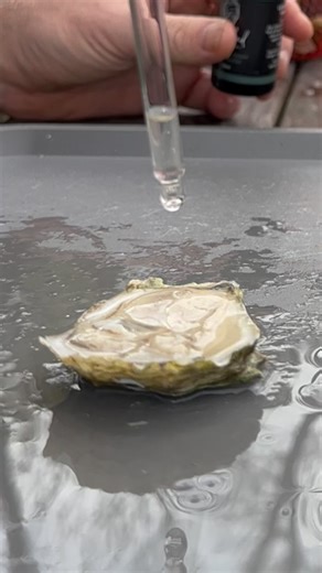 1.7M views · 5.1K reactions | Oysters and Australian Sauce?#oystertastetest #oysters #mignonette | By the Water | Facebook