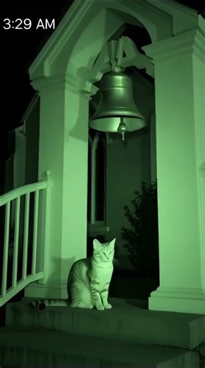 This Security Footage Reveals Something Truly Disturbing