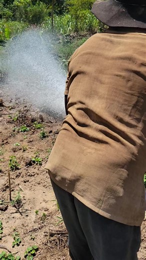 CHEAPEST IRRIGATION SYSTEM: PART TWO