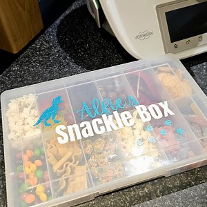 Custom Snackle Box | Personalised Snack Box | Dinosaur Snackle Box - Etsy Australia