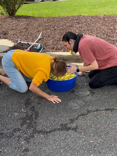 Brasstown Manor Retirement Community on Reels | Facebook