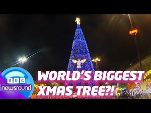 World’s BIGGEST Christmas Tree? | Newsround | News For Kids