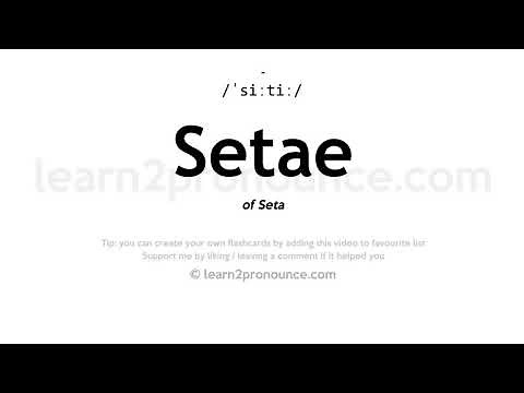 Setae pronunciation and definition