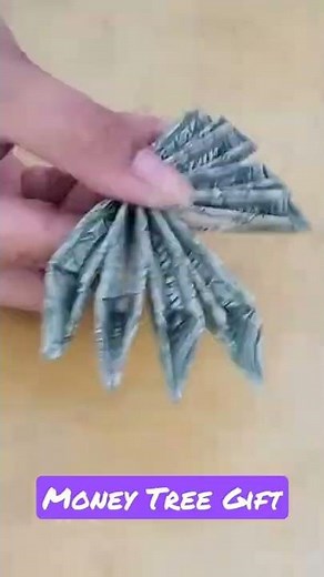 How to make money tree Gift sweet16