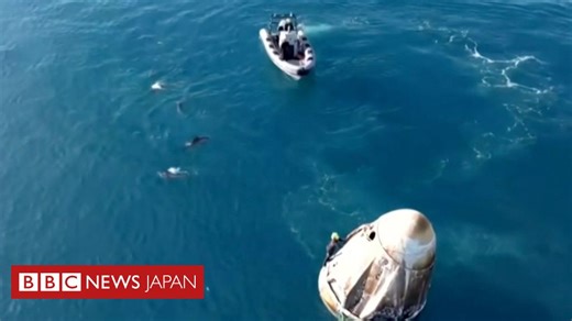 イルカが帰還を歓迎？　着水した宇宙船に群がる　米フロリダ州沖 - BBCニュース