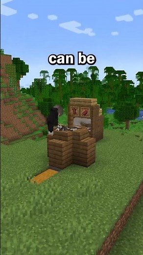 The ACTUAL Best Food in Minecraft!