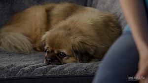 86K views · 454 reactions | Stories Behind the Scars shines a...