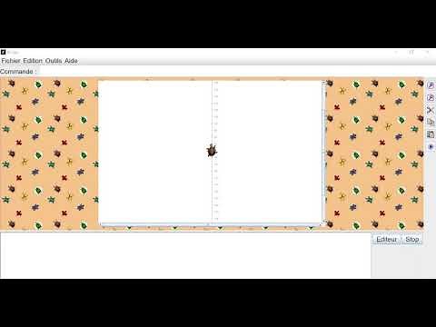Cours N°3 (La programmation logo) : Les primitives de base et quelques formes géométriques (xlogo).