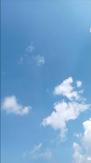 白い色は恋人の色(ベッツィ＆クリス) / 歌唱 : yass&yass