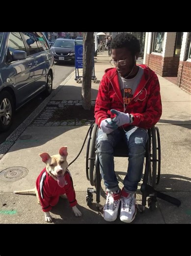 La conexión especial entre DMX y sus animales