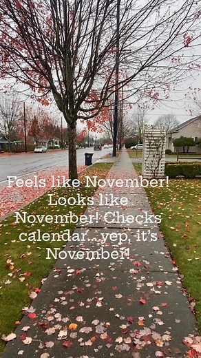 November Monday | Whatcom County Weather