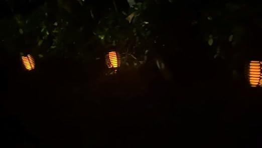 12 Led solar torch light