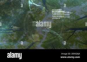 On start, fractal appearing in canopy, twisting then drifting left, code scrolling visualizing data. Nature, data visualization, digital art, ecological, biophilic, motion graphics, vibrant Stock Video Footage - Alamy